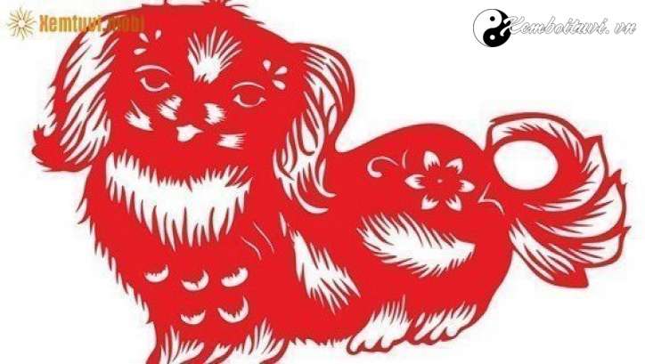 Xem phong thủy nhà bếp tuổi Tuất cho nhà vượng phát