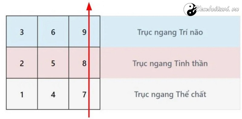 bieu-do-ngay-sinh-la-gi-cach-lap-bieu-do-ngay-sinh