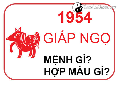Năm 1954 là năm con gì Sinh năm 1954 là mệnh gì Tuổi gì