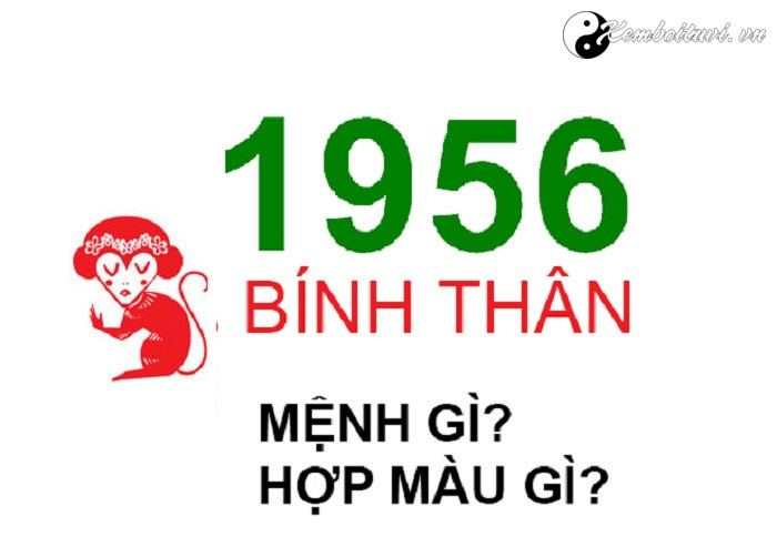 Năm 1956 là năm con gì Sinh năm 1956 là mệnh gì Tuổi gì