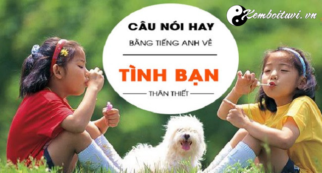 nhung-cau-noi-hay-ve-tinh-ban