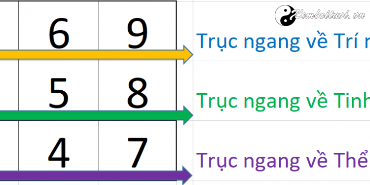 bieu-do-ngay-sinh-va-y-nghia-cua-nhung-so-co-mat-trong-than-so-hoc