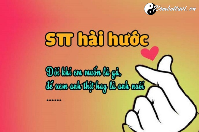 stt-hai-huoc-ve-cuoc-song-tinh-yeu-va-tinh-ban