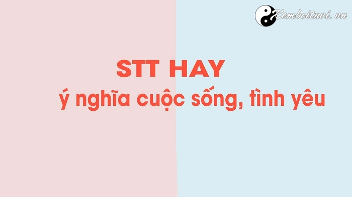 stt-hay-ngan-gon