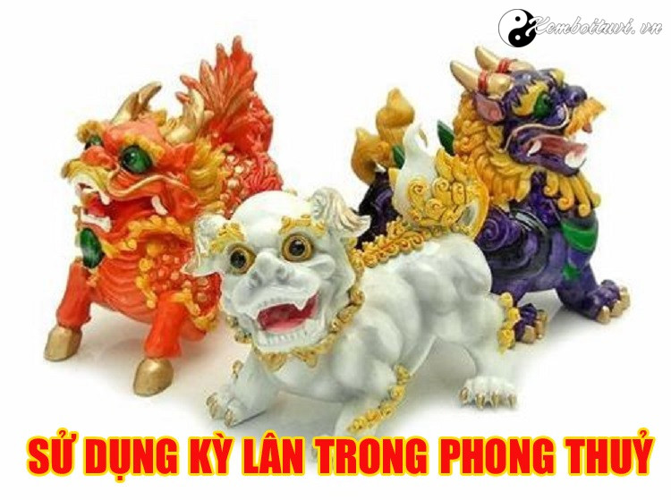9-dieu-thu-vi-ve-ky-lan-ma-ban-chua-biet