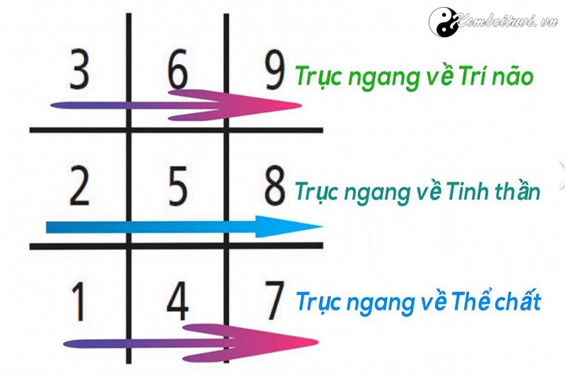 cach-doc-bieu-do-ngay-sinh-than-so-hoc