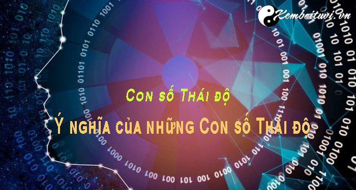 con-so-thai-do-y-nghia-cua-nhung-con-so-thai-do