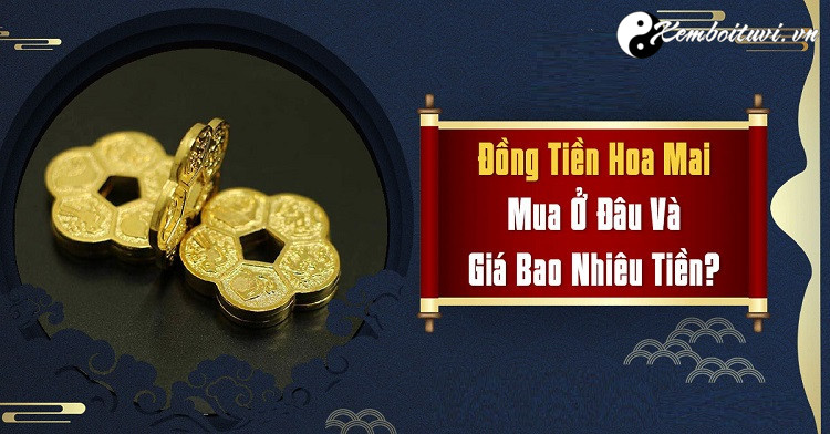 mai-hoa-kim-tien-la-gi