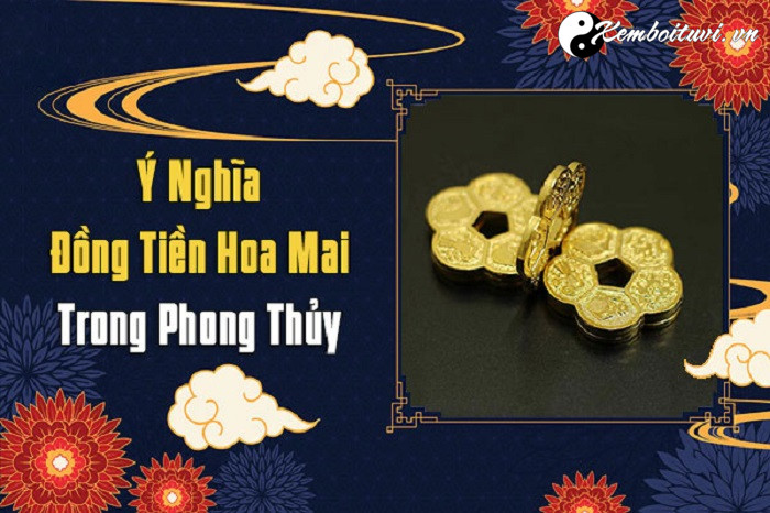 mai-hoa-kim-tien-la-gi