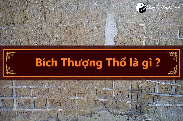 menh-bich-thuong-tho-nghia-la-gi