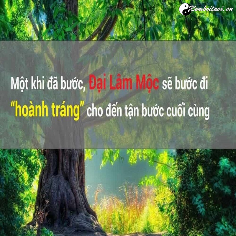 menh-dai-lam-moc-co-nghia-la-gi