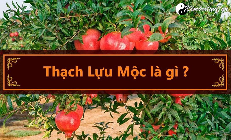 menh-thach-luu-moc-co-nghia-la-gi