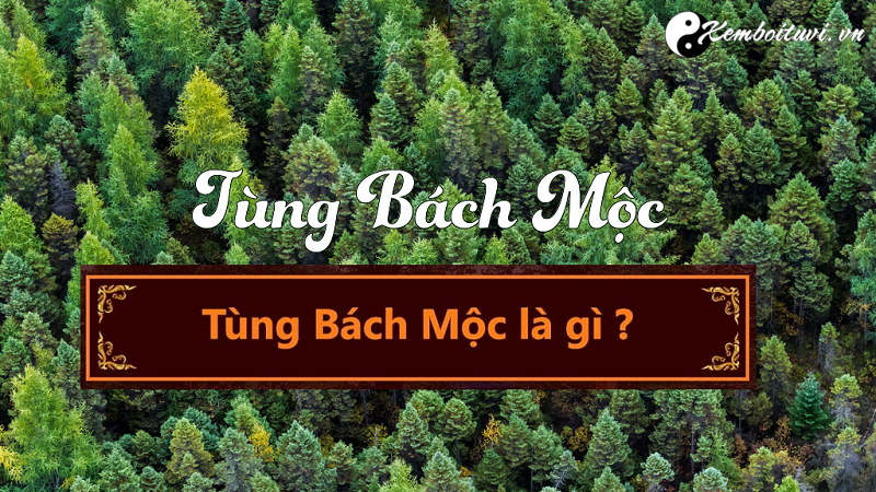 menh-tung-bach-moc-nghia-la-gi