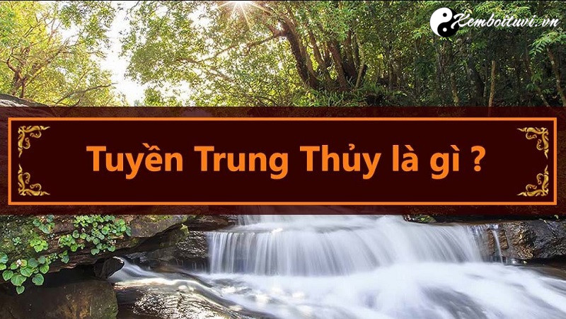 menh-tuyen-trung-thuy-nghia-la-gi