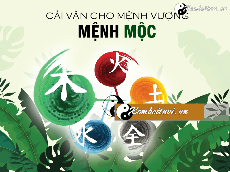 phong-thuy-cai-van-cho-bat-tu-vuong-moc