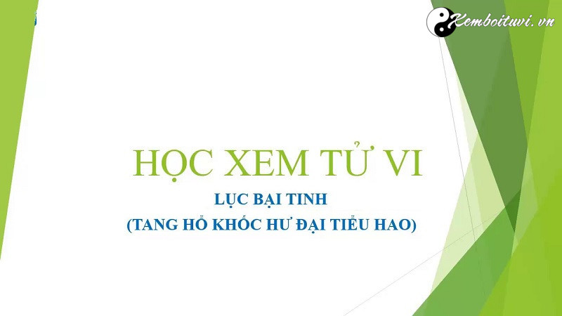 tim-hieu-va-phan-tich-sau-sao-luc-bai-tinh