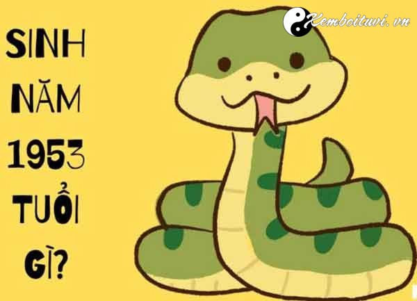 Sinh năm 1953 Quý Tỵ mệnh gì Kết hôn tuổi nào Hợp màu gì