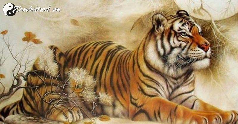 Sinh năm 1962 hợp màu gì? Bí quyết chọn màu may mắn cho tuổi Nhâm Dần