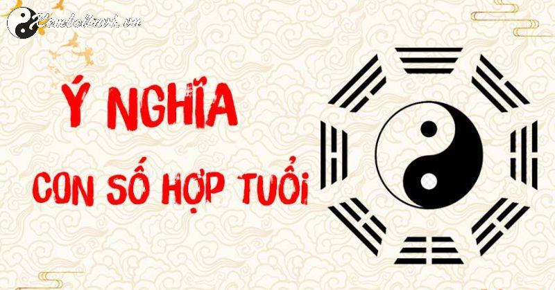 Bí Mật Phong Thủy: Người Sinh Năm 1962 Hợp Số Nào? Cách Chọn Sim Mang Lại Tài Lộc và May Mắn