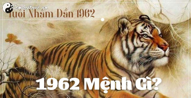 Sinh năm 1962 mua xe màu gì?