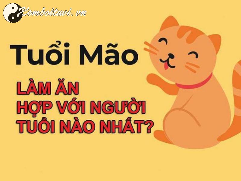 Sinh Năm 1963 Quý Mão Mệnh Gì? Bí Ẩn Vận Mệnh Tuổi Mèo