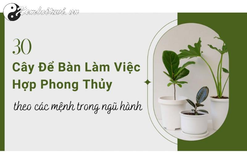 Hé Lộ Bí Quyết Chọn Hướng Bàn Làm Việc Tuổi Kỷ Dậu 1969 Mang Lại Tài Lộc Và Thành Công