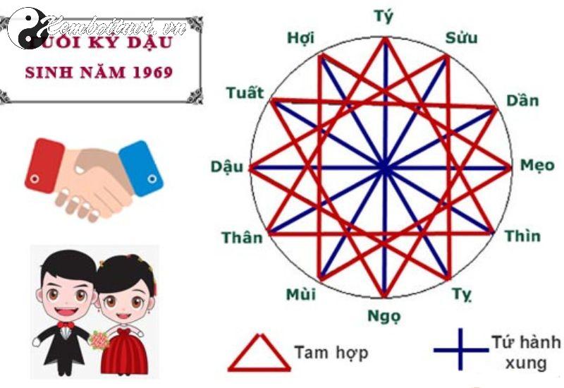 Sinh Năm 1969 Kỷ Dậu Mệnh Gì? Ý Nghĩa Vận Mệnh Tuổi Gà