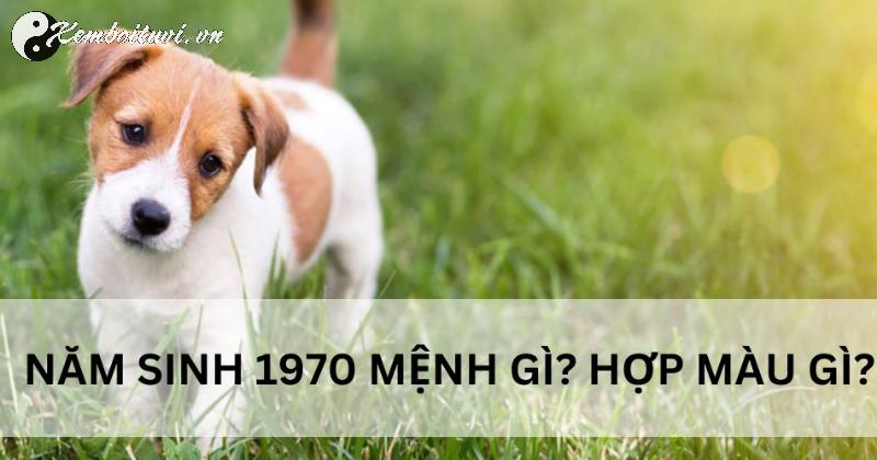 Người Sinh Năm 1970 Mệnh Kim: Màu Sắc Nào Mang Lại Tài Lộc Và Bình An?