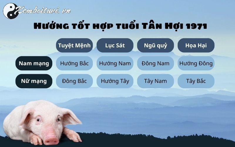 Sinh Năm 1971 Hợp Hướng Nào? Bí Quyết Chọn Hướng Tăng Tài Lộc Và Bình An