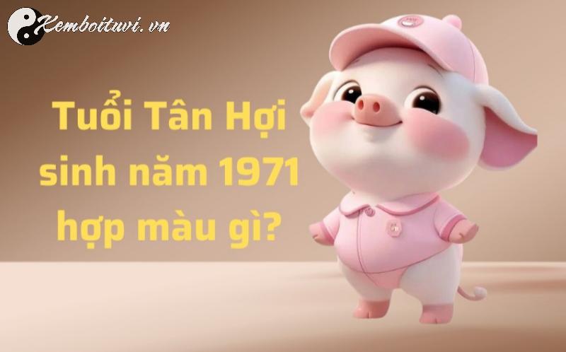 Bí Mật Phong Thủy: Sinh Năm 1971 Hợp Màu Gì Để Hút Tài Lộc Và Bình An?