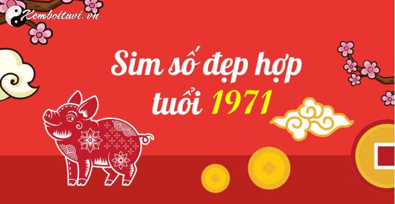 Khám Phá Con Số May Mắn Và Sim Phong Thủy Cho Người Sinh Năm 1971