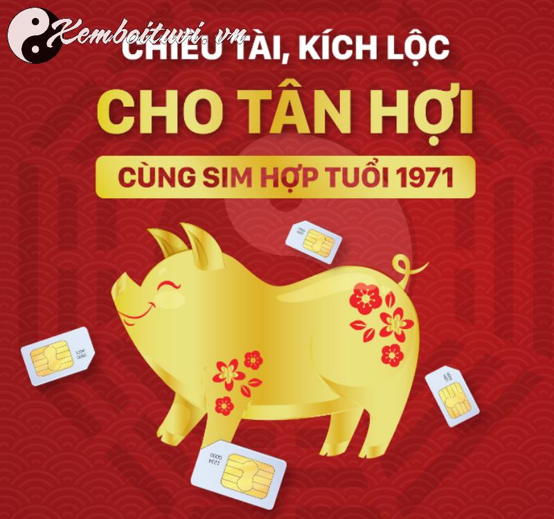 Khám Phá Con Số May Mắn Và Sim Phong Thủy Cho Người Sinh Năm 1971