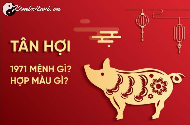 Sinh Năm 1971 Tân Hợi Mệnh Gì? Bí Ẩn Vận Mệnh Tuổi Hợi