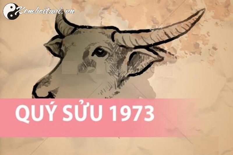 Sinh Năm 1973 Hợp Màu Gì? Bí Mật Phong Thủy Giúp Bạn Đón Tài Lộc Và Bình An!