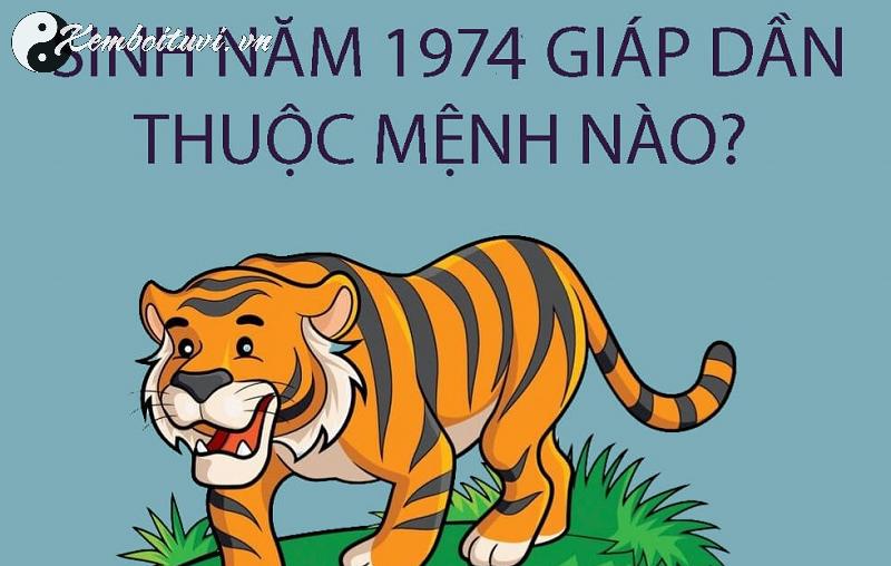 Sinh Năm 1974 Giáp Dần Mệnh Gì? Bí Mật Tuổi Hổ Trong Phong Thủy