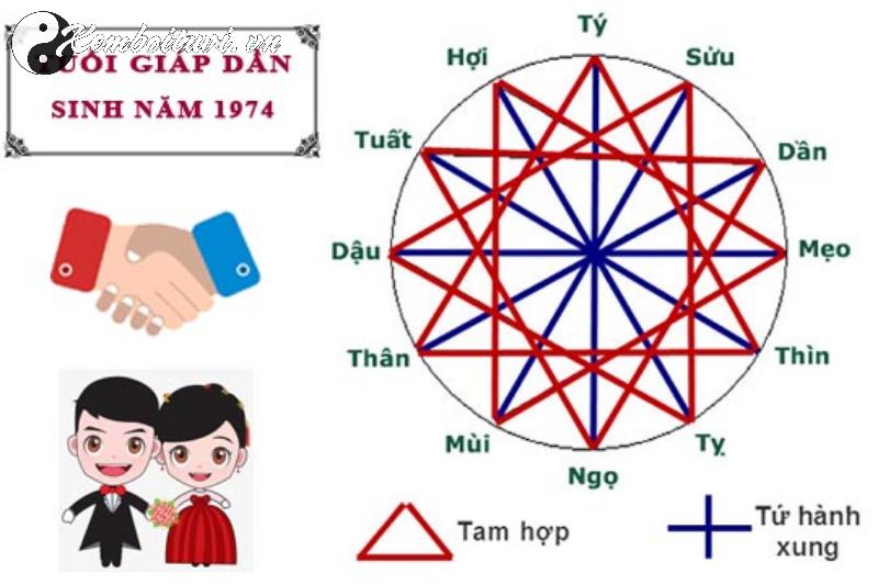 Sinh Năm 1974 Giáp Dần Mệnh Gì? Bí Mật Tuổi Hổ Trong Phong Thủy