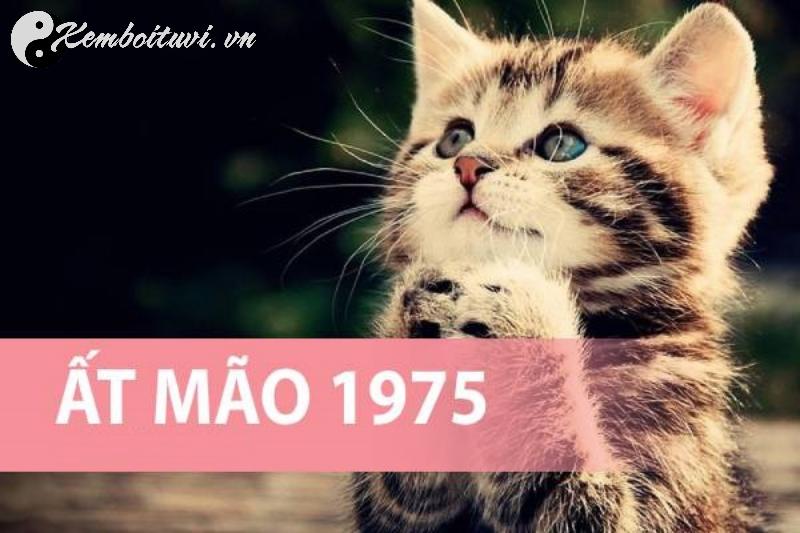 Bí Mật Màu Sắc Phong Thủy: Người Sinh Năm 1975 Hợp Màu Gì Để Tăng Tài Lộc?