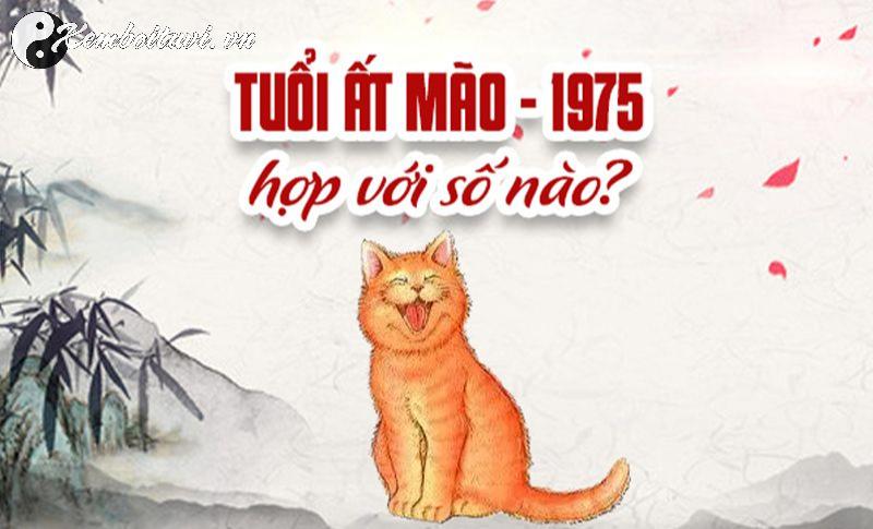 Khám Phá Con Số May Mắn Cho Người Sinh Năm 1975: Bí Mật Sim Phong Thủy Hợp Tuổi Ất Mão!