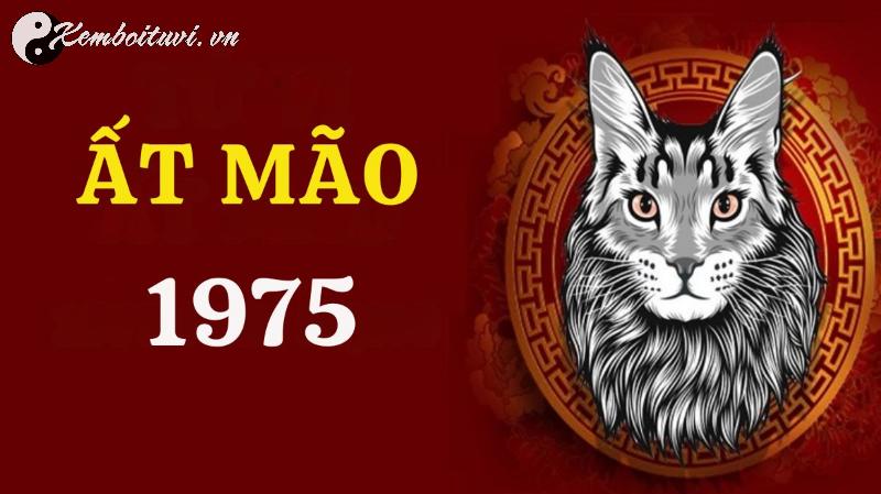 Khám Phá Con Số May Mắn Cho Người Sinh Năm 1975: Bí Mật Sim Phong Thủy Hợp Tuổi Ất Mão!