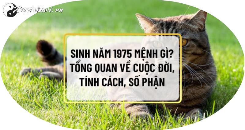 Sinh Năm 1975 Ất Mão Mệnh Gì? Đặc Trưng Vận Mệnh Tuổi Mèo