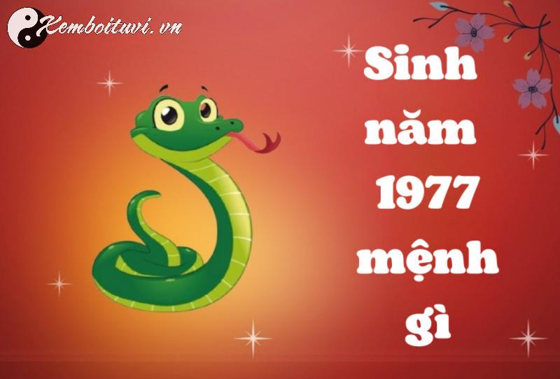 Bí Quyết Kê Giường Ngủ Giúp Người Sinh Năm 1977 Tăng Tài Lộc, Sức Khỏe, Và Vận Khí