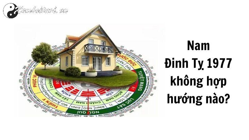 Bí Mật Phong Thủy: Người Sinh Năm 1977 Nên Chọn Hướng Nào Để Cả Đời Tài Lộc?