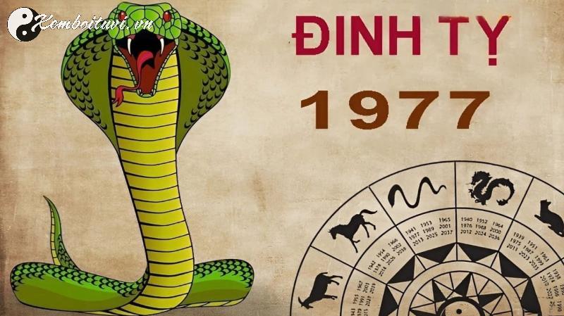 Khám Phá Con Số May Mắn Và Sim Phong Thủy Đặc Biệt Cho Người Sinh Năm 1977!