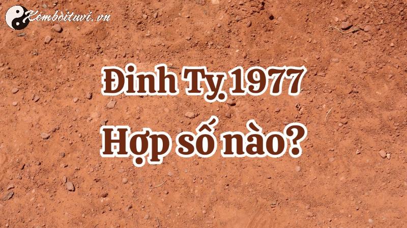 Khám Phá Con Số May Mắn Và Sim Phong Thủy Đặc Biệt Cho Người Sinh Năm 1977!