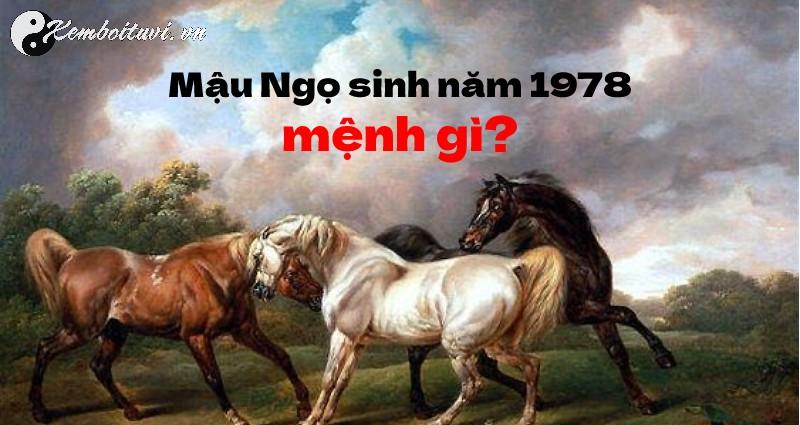 Khám Phá Hướng Bàn Làm Việc Chuẩn Phong Thủy Cho Người Sinh Năm 1978