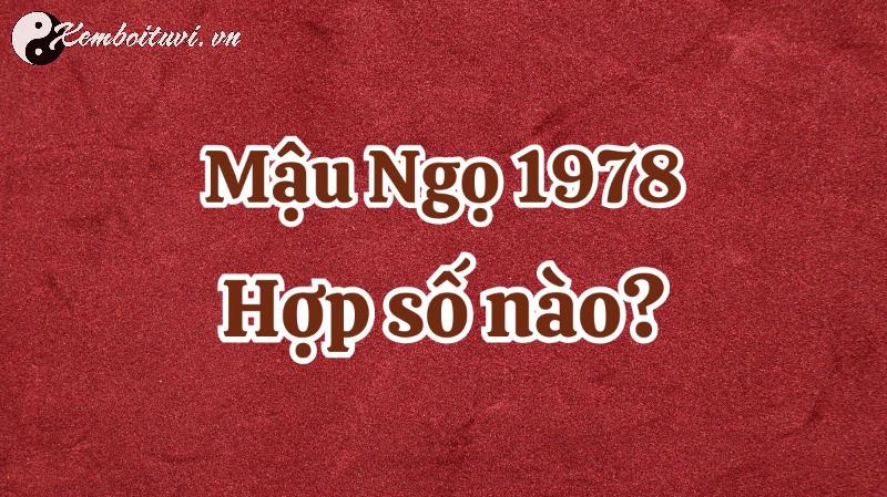 Bí Mật Phong Thủy Tuổi Mậu Ngọ 1978: Những Con Số Hút Tài Lộc Và Sim Số Đẹp Bạn Không Nên Bỏ Qua!