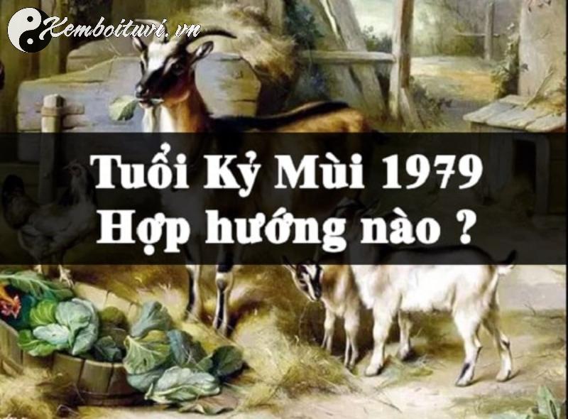 Tuổi Kỷ Mùi 1979: Bí Mật Hướng Nhà Mang Đến Tài Lộc Và Hạnh Phúc