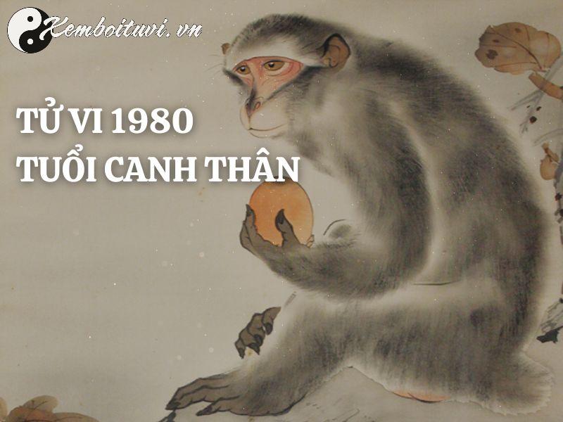 Sinh năm 1980 hợp hướng nào? Phân tích chi tiết từ chuyên gia phong thủy