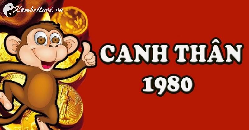 Khám Phá Màu Sắc Mang Lại Tài Lộc Và May Mắn Cho Tuổi Canh Thân 1980