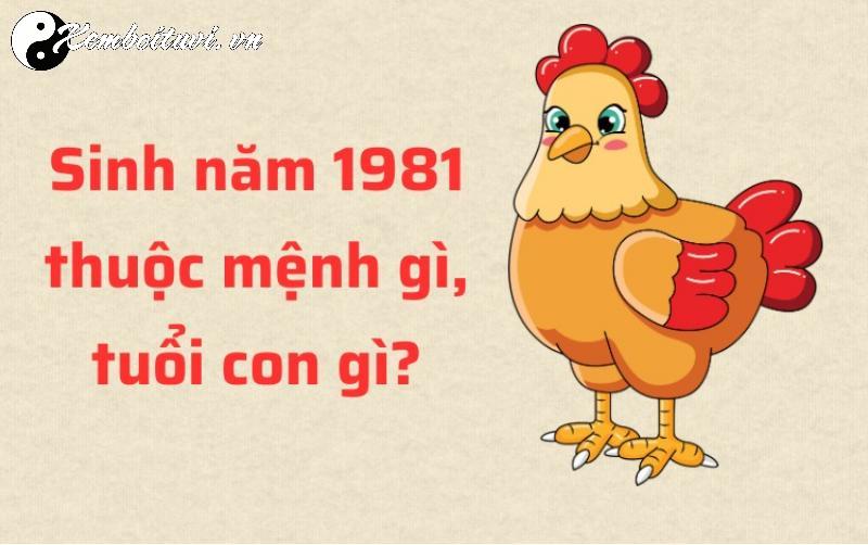 Hé Lộ Bí Quyết Hướng Bàn Làm Việc Giúp Người Sinh Năm 1981 Tăng Tài Lộc Và Thăng Tiến Sự Nghiệp